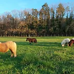 Ferme Des Petites Oreilles 4 Etoiles Отель типа 
