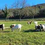 Bed & Breakfast Ferme Des Petites Oreilles 4 Etoiles
