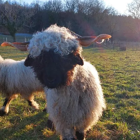 Ferme Des Petites Oreilles Lascaux *