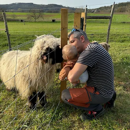 Ferme Des Petites Oreilles 4 Etoiles Montignac-Lascaux