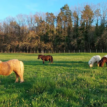 Ferme Des Petites Oreilles 4 étoiles Bed & Breakfast 3*