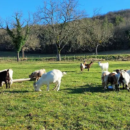 Bed & Breakfast Ferme Des Petites Oreilles 4 Etoiles