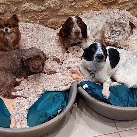 Bed & Breakfast Ferme Des Petites Oreilles 4 Etoiles Montignac-Lascaux