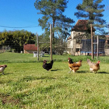 Ferme Des Petites Oreilles 4 étoiles 3*