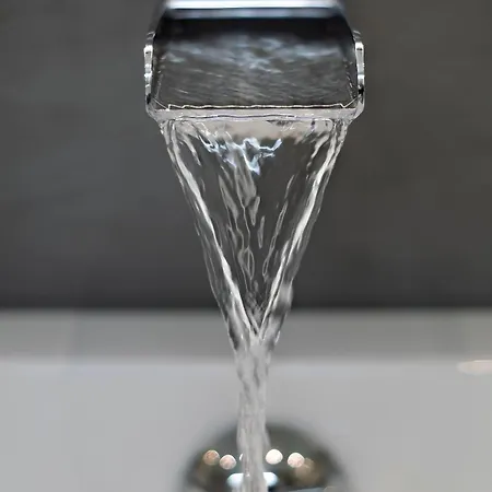 Ferme Des Petites Oreilles 4 Etoiles