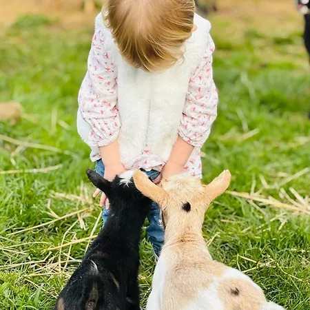 Ferme Des Petites Oreilles 4 Etoiles Montignac-Lascaux