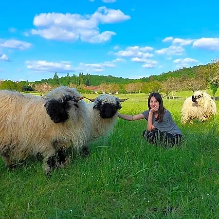 Ferme Des Petites Oreilles 4 Etoiles Montignac-Lascaux