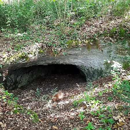 Ferme Des Petites Oreilles 4 Etoiles Montignac-Lascaux