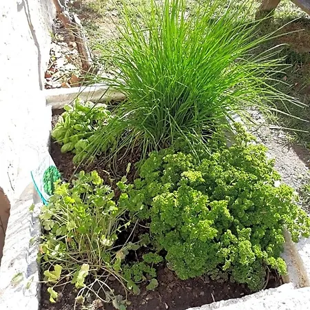 Bed and breakfast Ferme Des Petites Oreilles 4 étoiles 3*