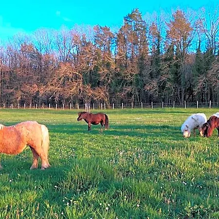 Ferme Des Petites Oreilles 4 étoiles Bed and breakfast