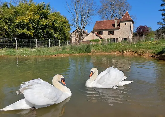 Ferme Des Petites Oreilles 4 Etoiles Nocleg ze śniadaniem